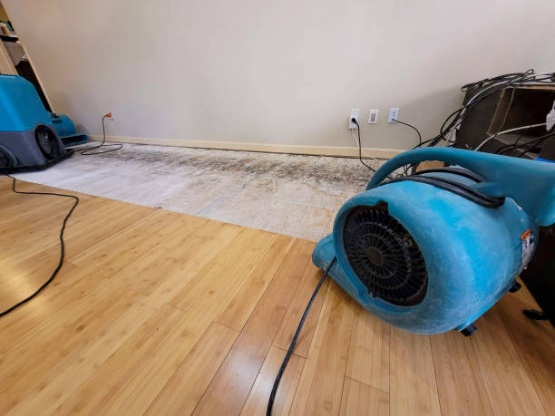 Professional Emergency Water Damage technician working in Weston, MA